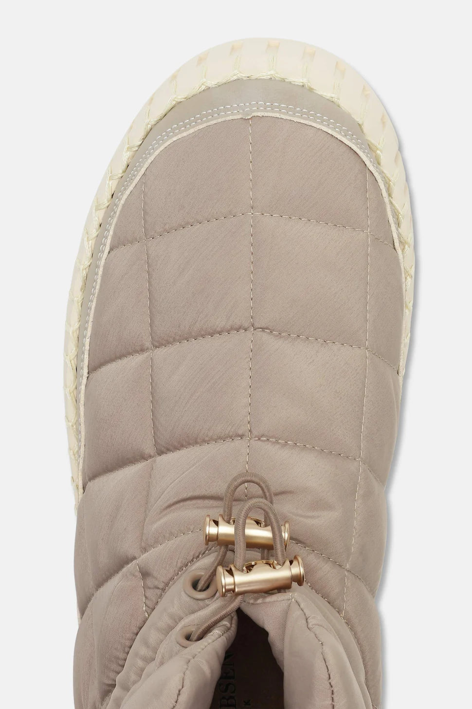 Tulip6082